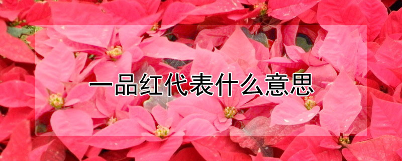 һƷʲô˼
