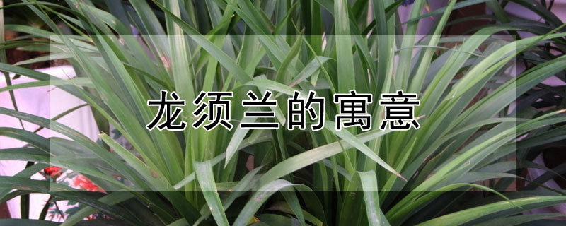 Ԣʲô