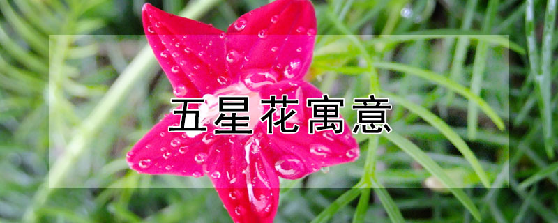 ǻԢ⣬ǻʲô壿
