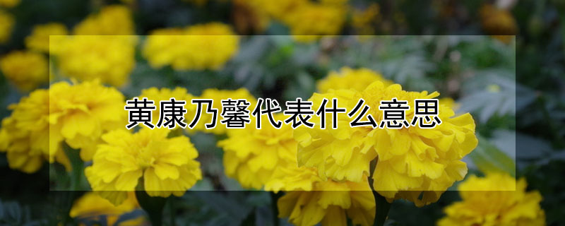 ƿܰʲô˼ƿܰЩ˼