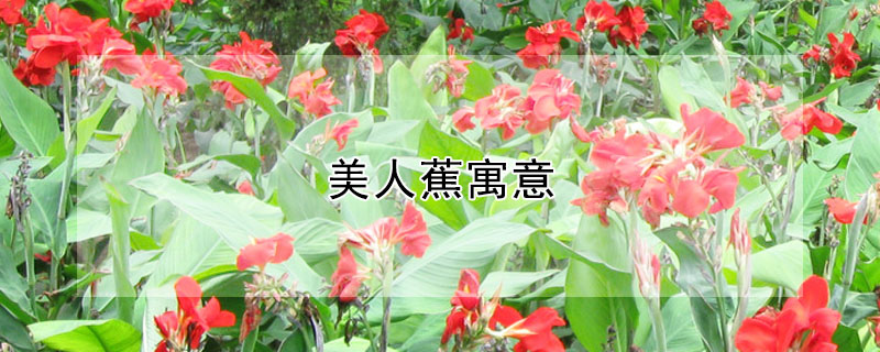 ˽Ԣ⣬˽ʲô壿