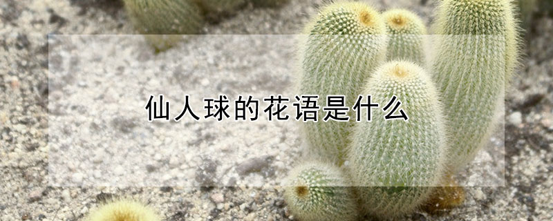 Ļʲôʲô壿