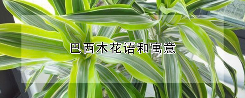 ľԢ⣬ľЩ壿