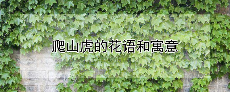 ɽĻԢ⣨ɽʲô壩