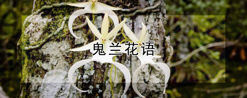 ʲô˼ʲô壿