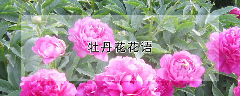 ĵʲô˼ĵʲôԢ⣿
