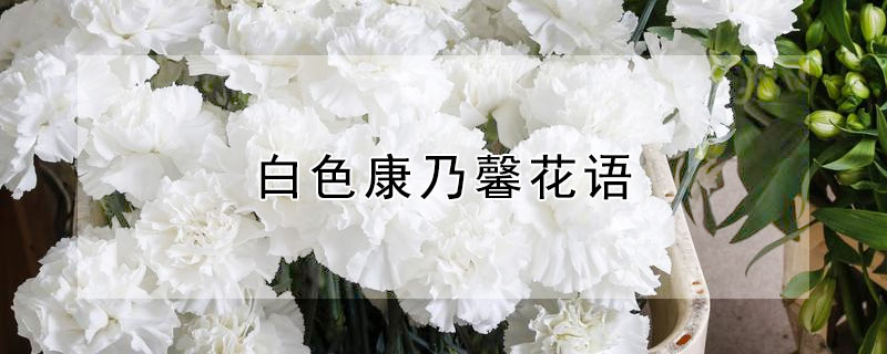ɫܰʲô壿