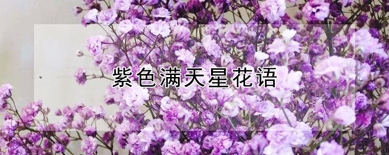 ɫǻʲô˼ɫʲôԢ⣿