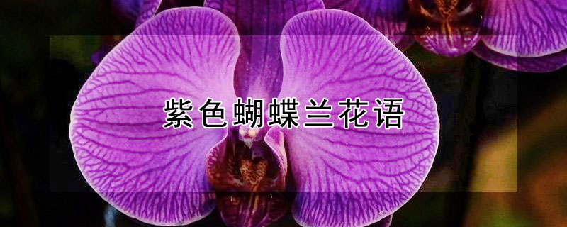 ɫ