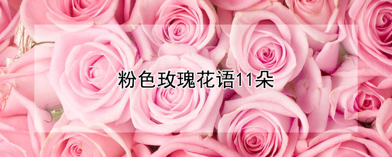 ɫõ廨11ʲô壿11ɫõԢ