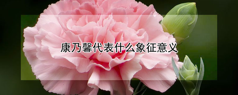 ܰʲô壿ܰЩ壿