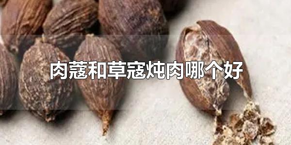 ޢͲݿĸ ޢ