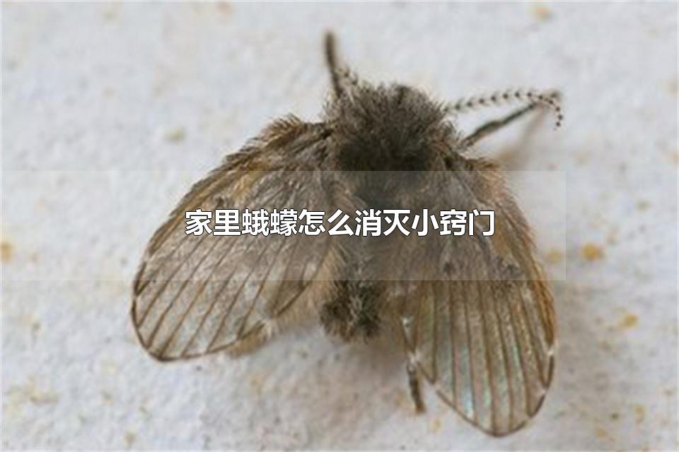 ôС Σ