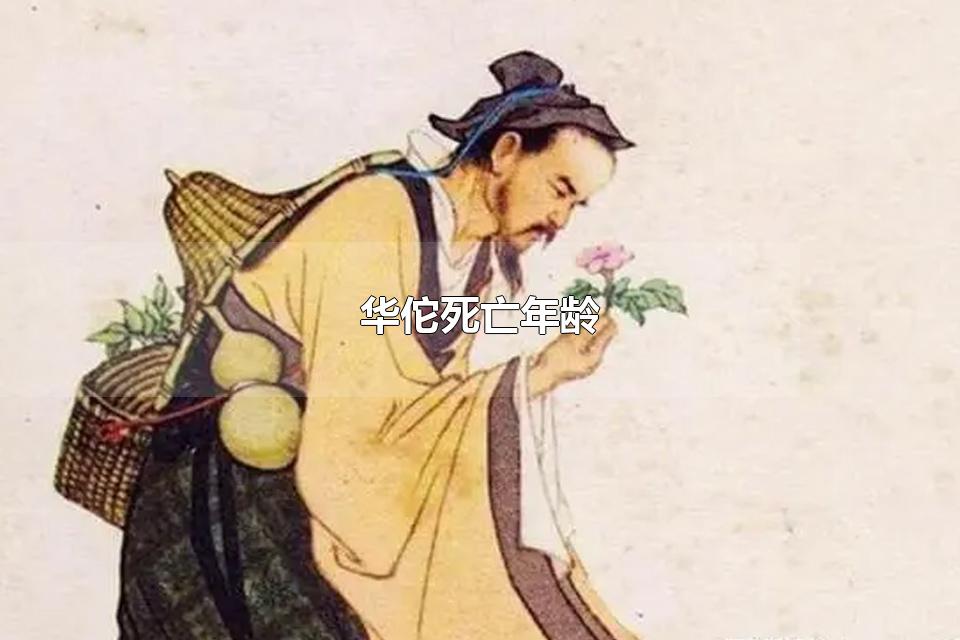 ٢ ٢ԺĹЩ