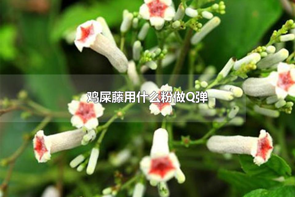 ʺʲôQ ʺٿԼľ