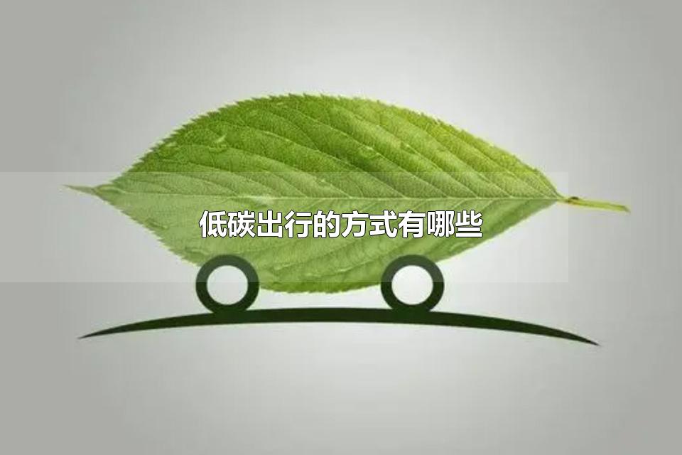̼еķʽЩ ̼еʲô