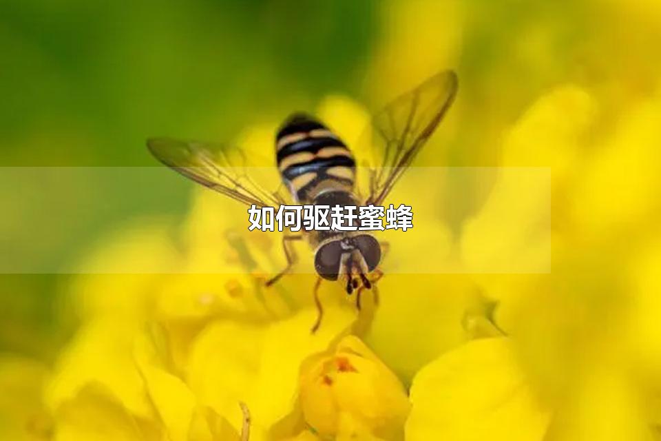 ۷ ۷ĹЩ