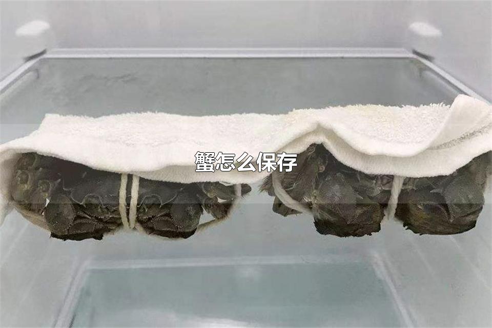 зô зע