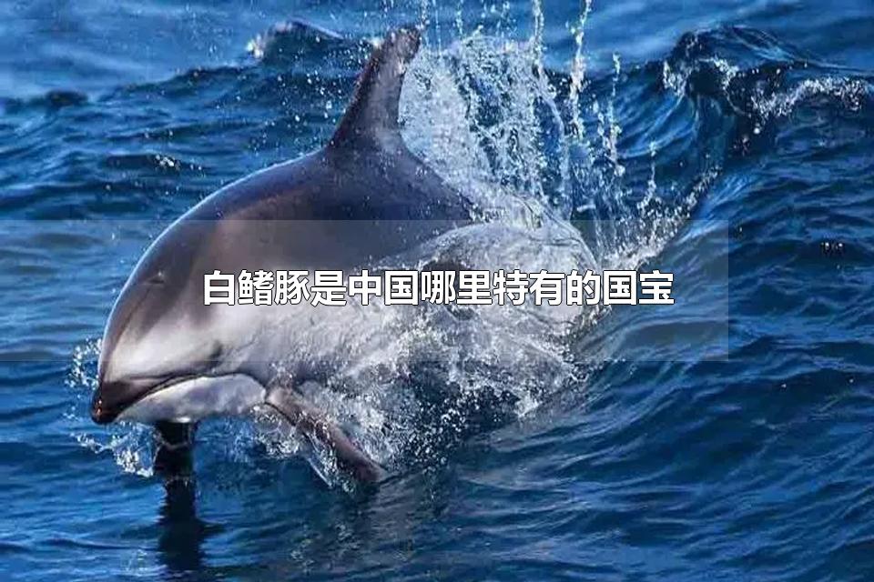 йеĹ ʲô