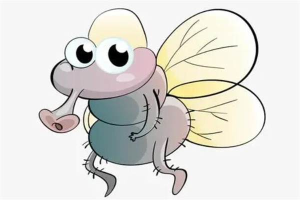 ӬĿʲô?ֿ(ʳܳԵ)