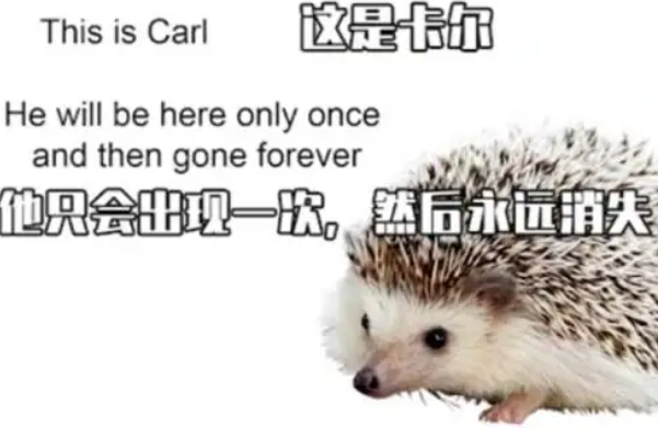 ʲôݱ(ȹ)