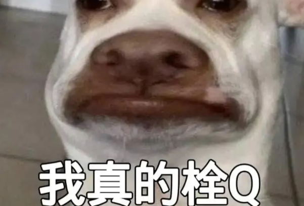˨Qʲô˼?Ӣthank youն(˼Ǹл)