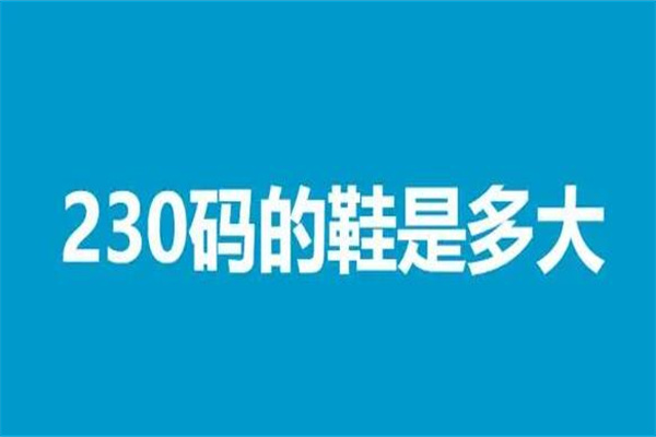230ǶЬ?Ӧ36Ь(Ьڳ230)