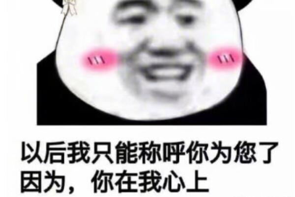 ζ黰ʲô˼?ر黰()