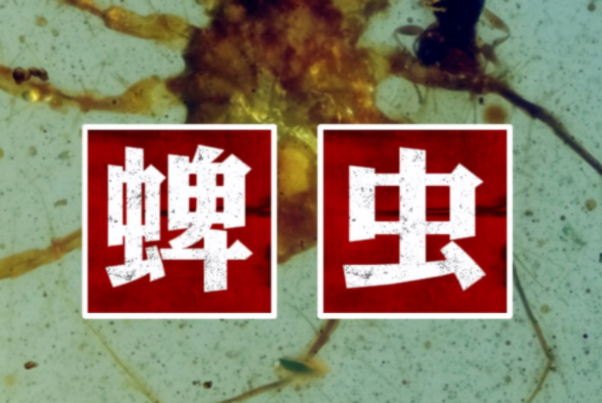3ֶ/ѧҩ(ҧ辡ҽ)