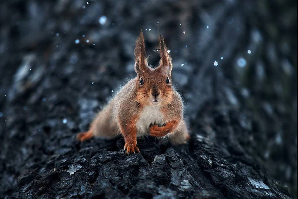 18-200mmͷʺʲô