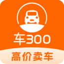 300ٰרҵ