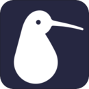 KIWI˶