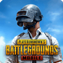 PUBGMOBILEʷ