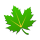 ɫػֱװ
