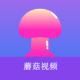 ĢƵɫlogoɰ汾