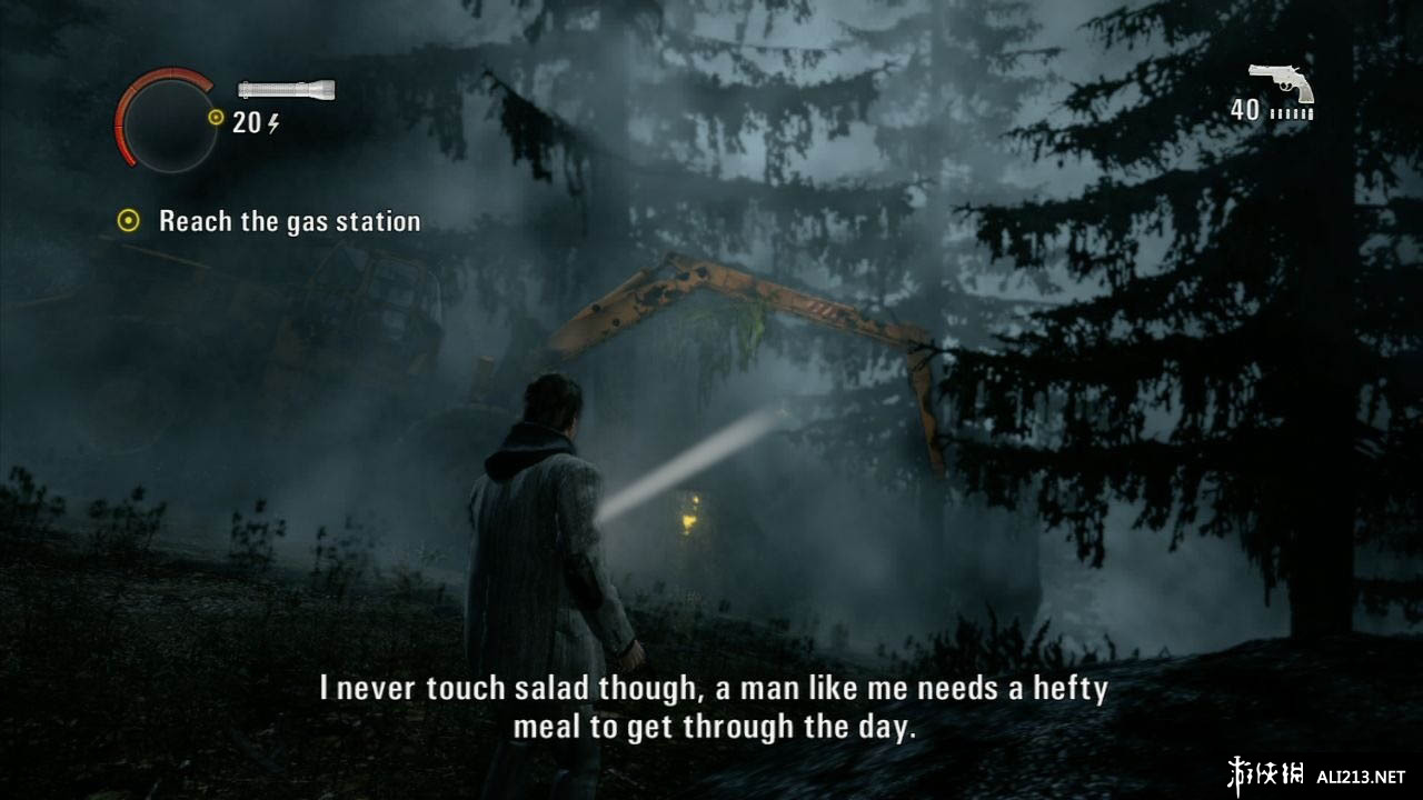 ɱ/ѣAlan Wake޸ 