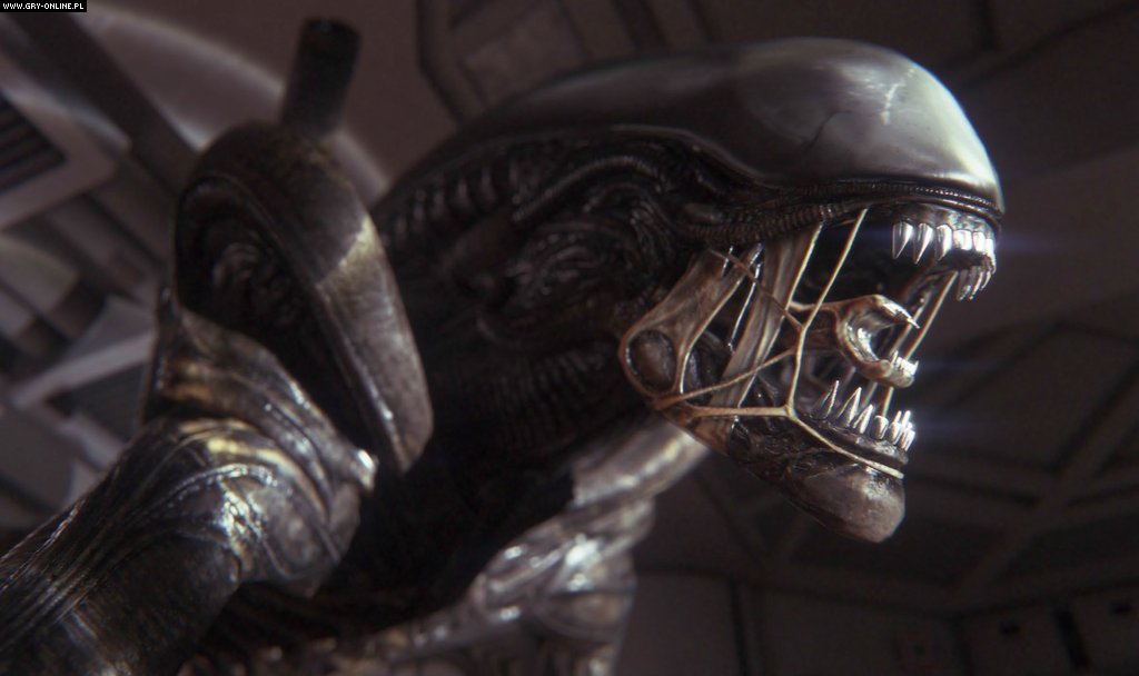 Σ루AlienIsolation ޸