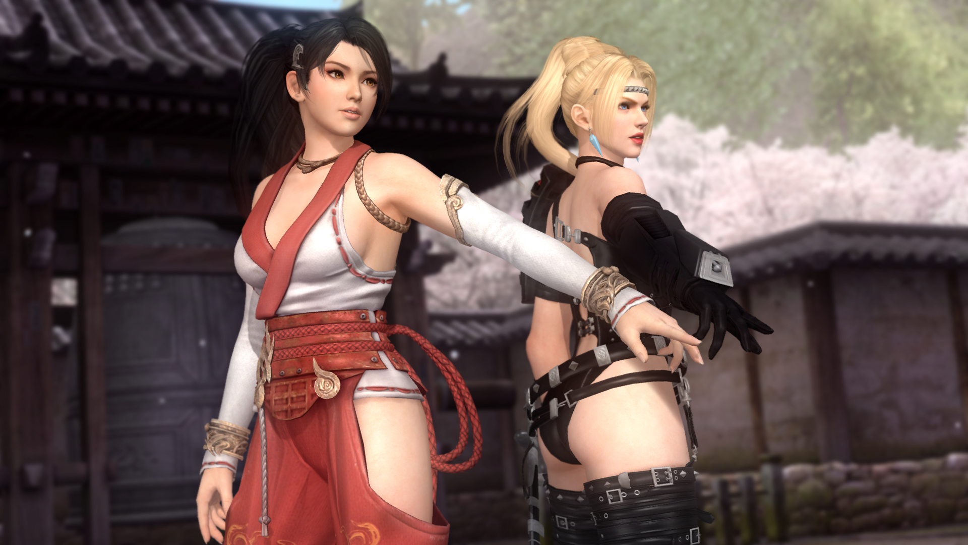 5һսDead Or Alive 5Last RoundŮɫȻӾװMODϼ[DLC]