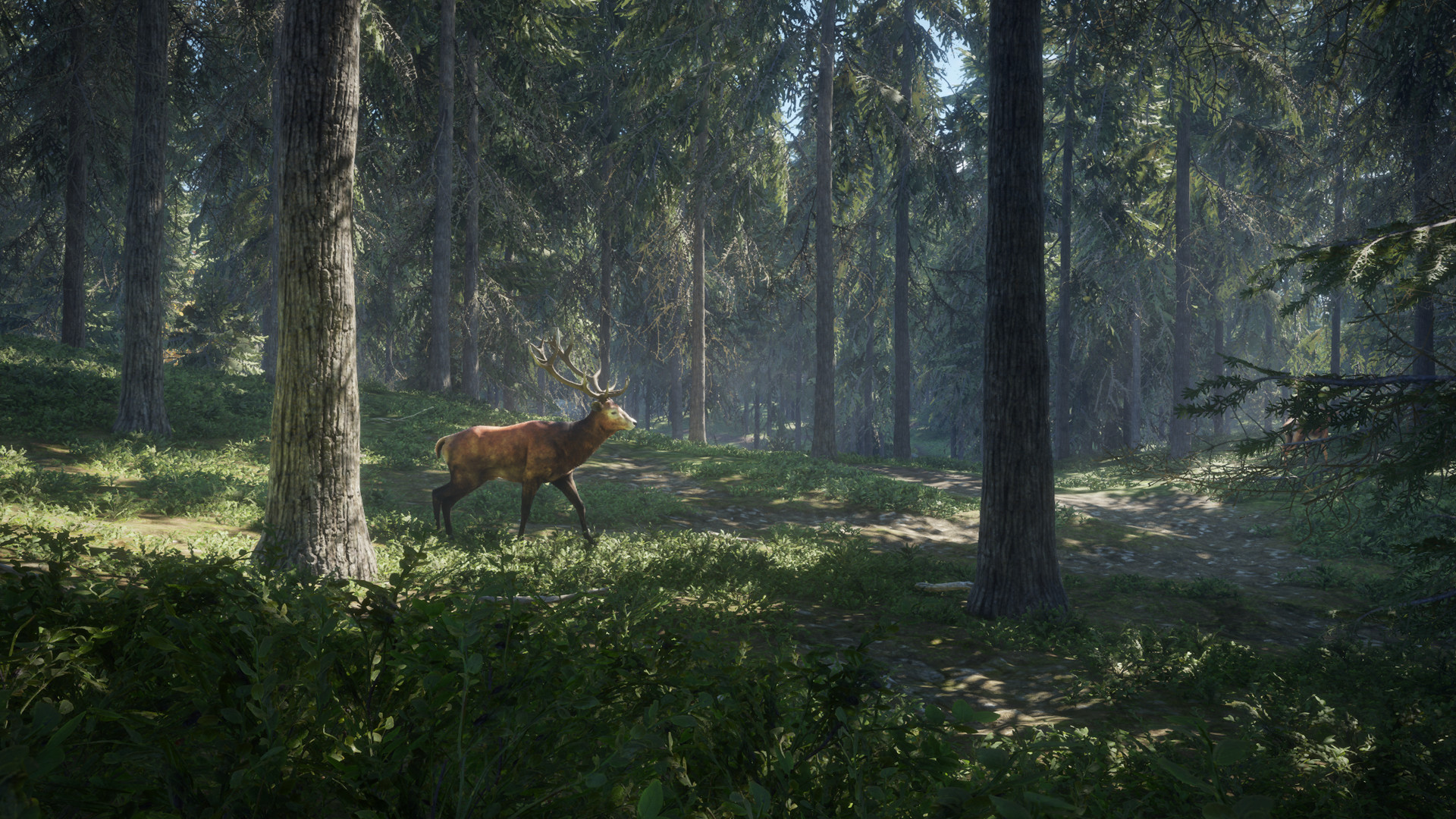 ˣҰԵĺThe Hunter: Call of the Wildv1.9.1ʮ޸