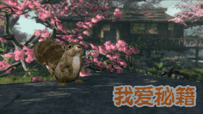 ˮշЩãЩûã