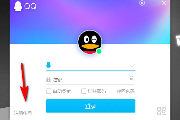 qq룿뷽