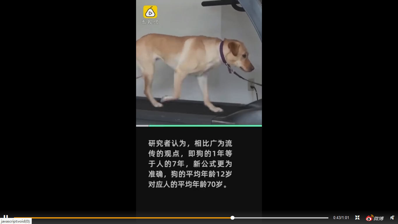 Ȯתʽô?Ȯתʽ