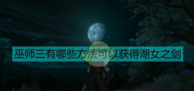 巫师3：湖女之剑获取攻略巫师3等级需求解析