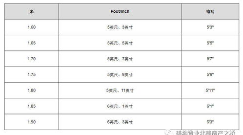 英寸尺子怎么看图片