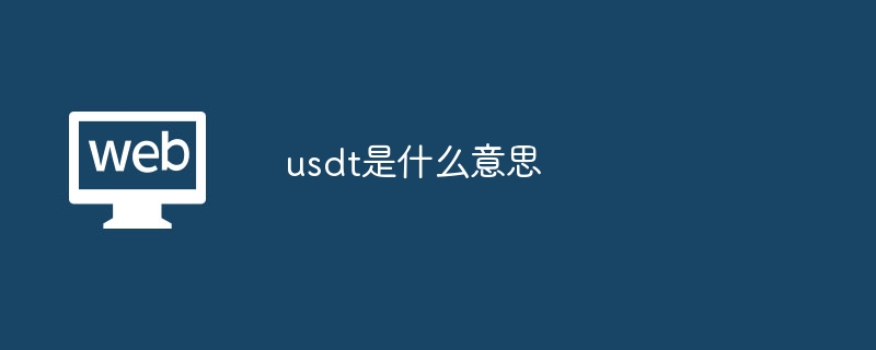 usdtʲô˼