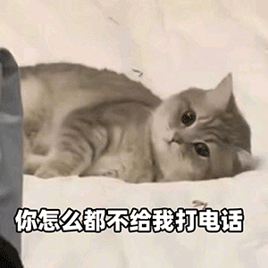 ǿֵһȫ ɥֱֿȫ