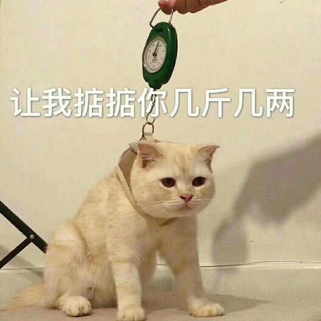 ǿֵһȫ ɥֱֿȫ
