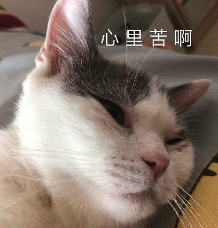 ǿֵһȫ ɥֱֿȫ