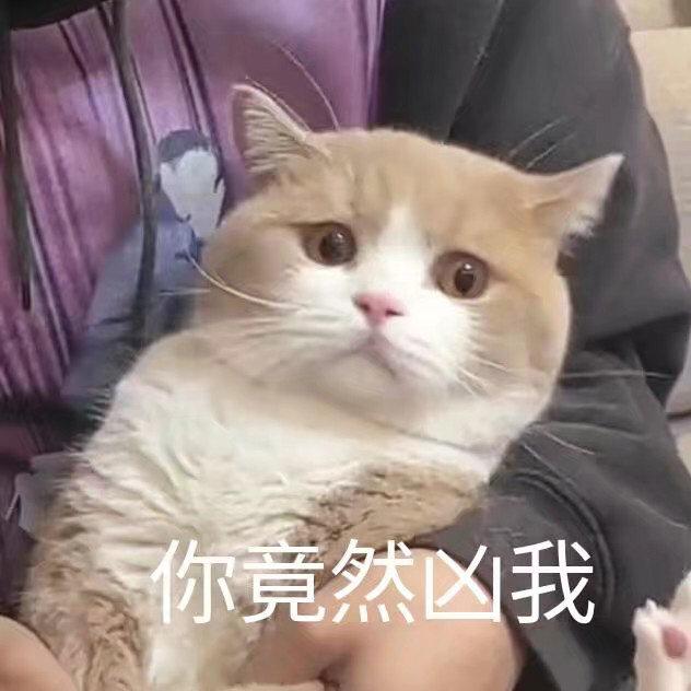 㾹Ȼұȫ ˣȫ