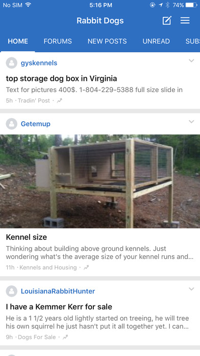 Rabbit Dogs